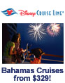 Disney Cruise Lines